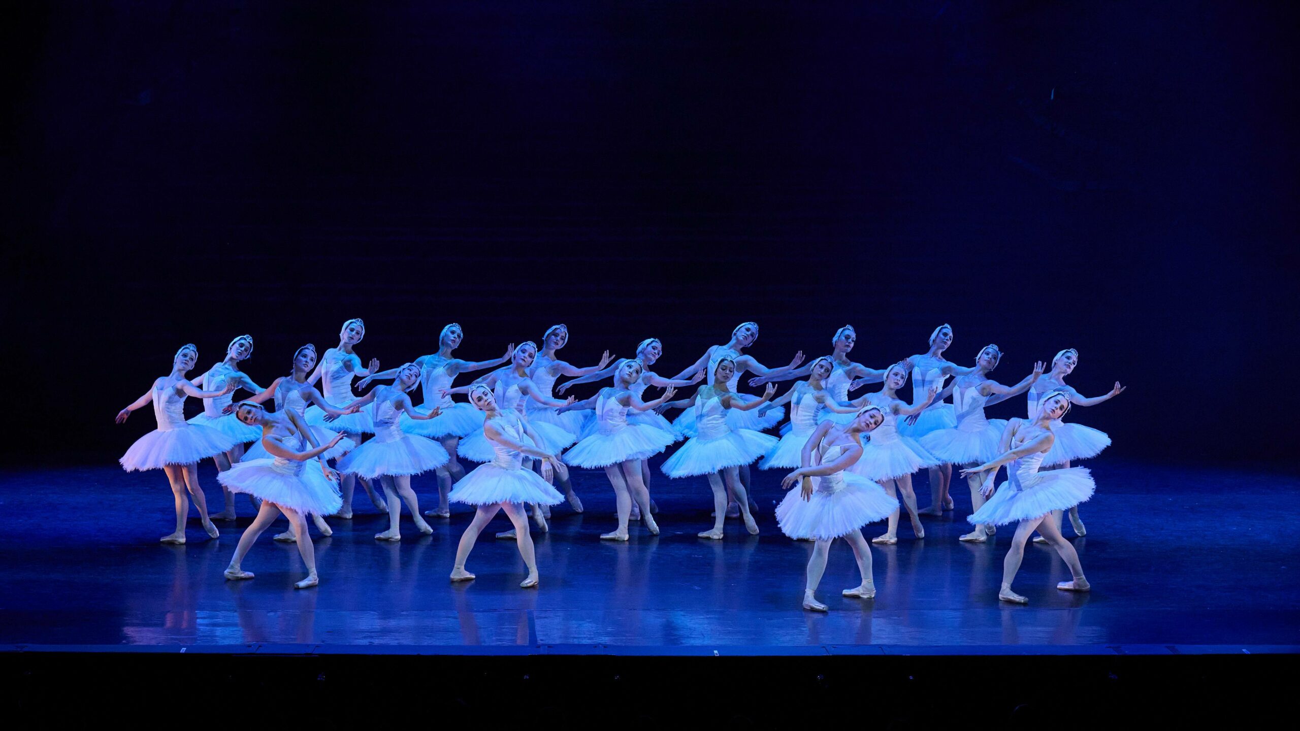 IMAGE_Swan_Lake_4_-Lauge_Sorenson_optimised